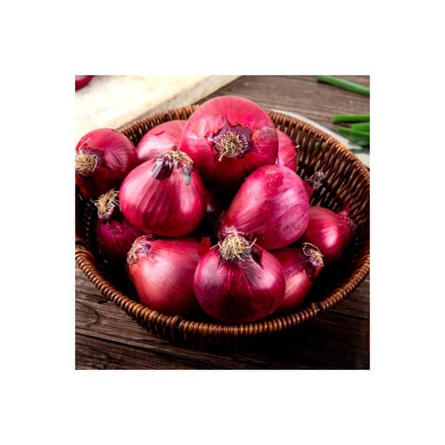 Fresh Premium Red Onions - Wholesale Supplier from Netherlands