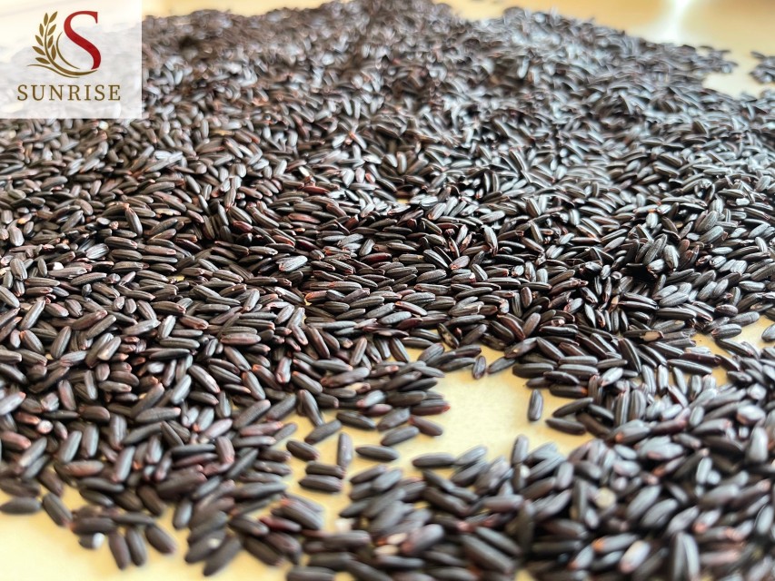 Healthy Black Rice Premium Quality from Vietnam