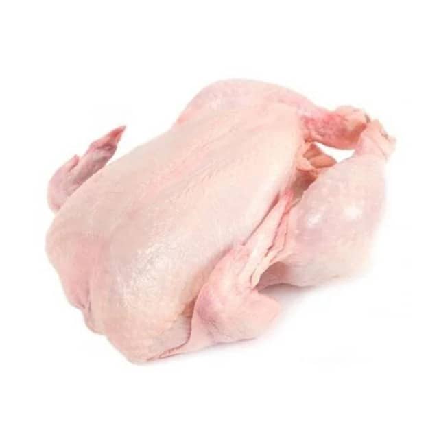 HALAL Frozen Whole Chicken Wholesale Supplier – Bulk from Netherlands