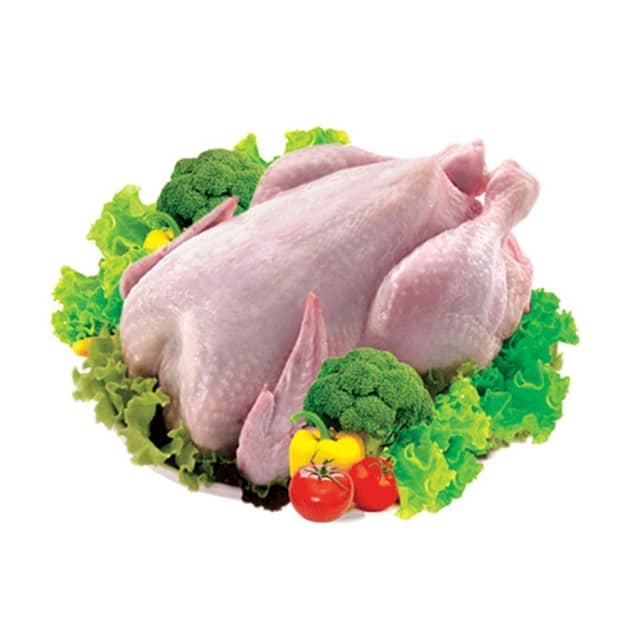 HALAL Frozen Whole Chicken Wholesale Supplier – Bulk from Netherlands