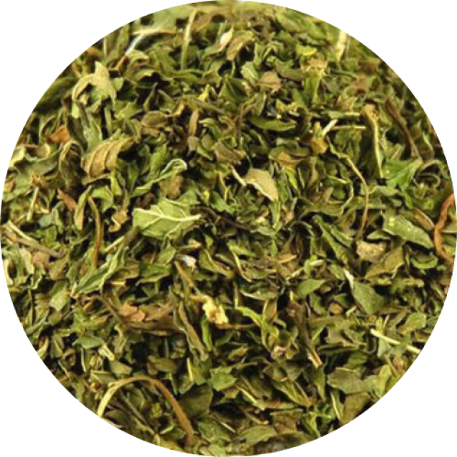 Organic Mentha Arvensis Leaf Dry - Bulk Supplier from India for Aromatherapy & Teas