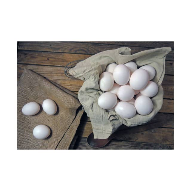 Fresh Chicken Eggs – Nutritional, Versatile & Cost-Effective at Best Price