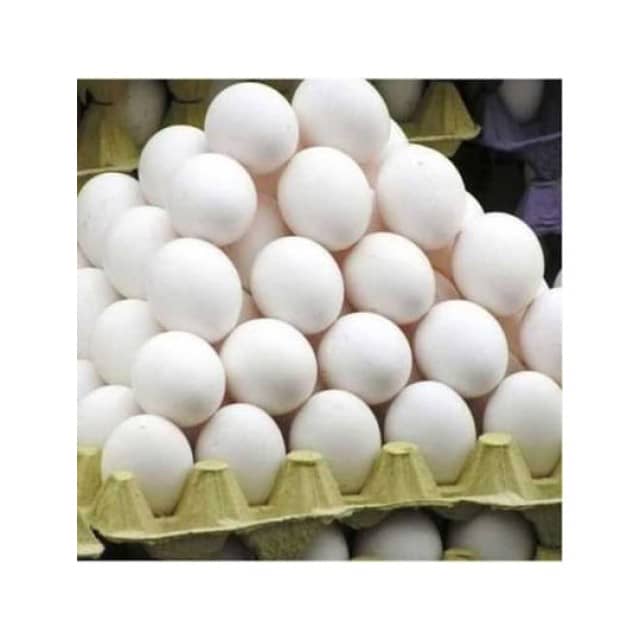 Fresh Chicken Eggs – Nutritional, Versatile & Cost-Effective at Best Price