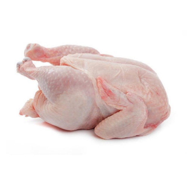 Frozen Whole Halal Chicken Wholesale Supplier - Bulk Rate