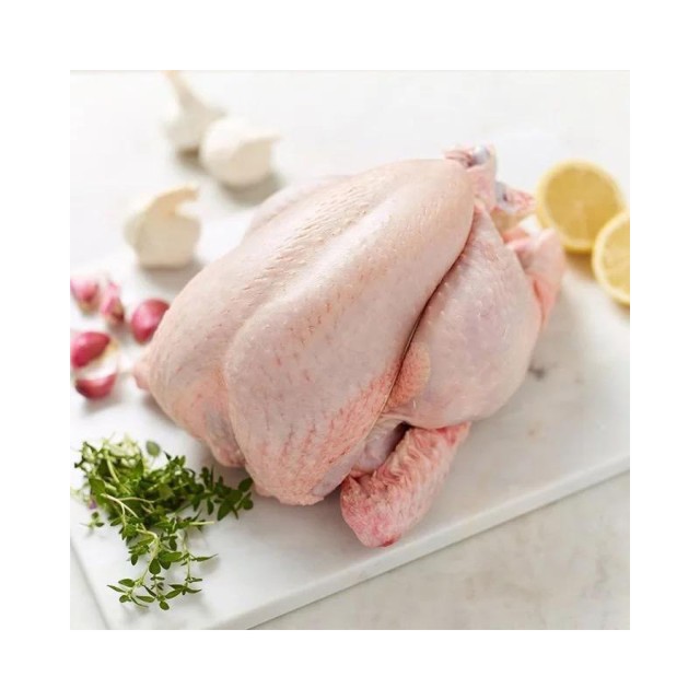 Frozen Whole Halal Chicken Wholesale Supplier - Bulk Rate