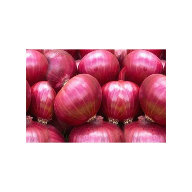 Red Onions Fresh Bulk Supply, Best Quality at Wholesale Rates