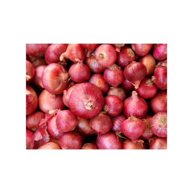 Red Onions Fresh Bulk Supply, Best Quality at Wholesale Rates