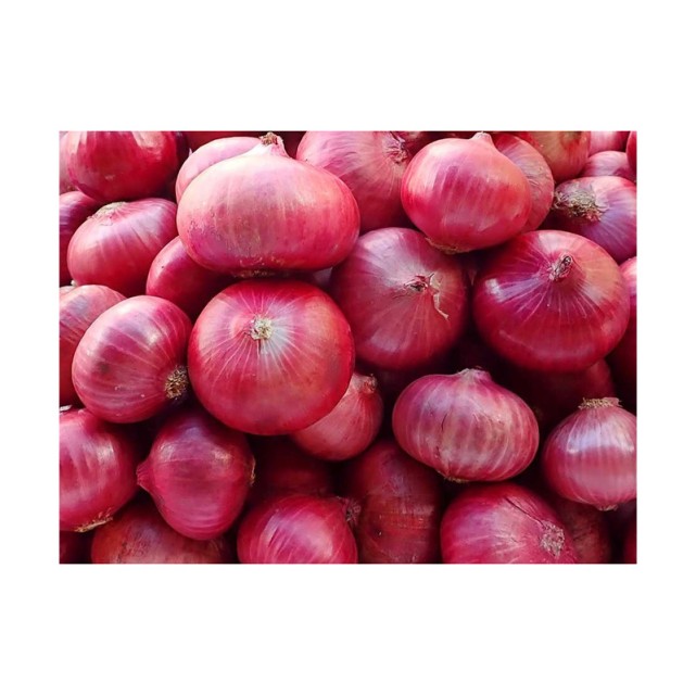 Red Onions Fresh Bulk Supply, Best Quality at Wholesale Rates