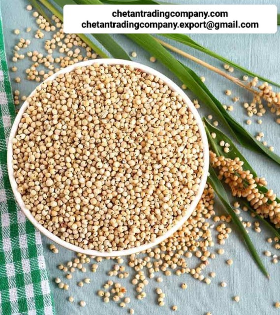 Versatile Sorghum Grains - Wholesale Supplier from India