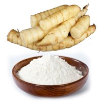 Arrowroot Powder Bulk Wholesale Price