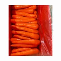 Best Price Carrots for Sale - Competitive Rates for Wholesale Fresh Carrots Available