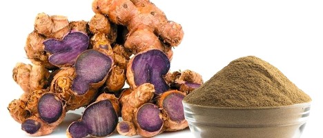 Black Turmeric Powder Bulk Suppliers and Best Price