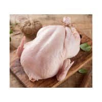 HALAL Frozen Whole Chicken Wholesale Supplier – Bulk from Netherlands