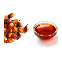 Refined Palm Oil - High Quality Wholesale Rate from Netherlands