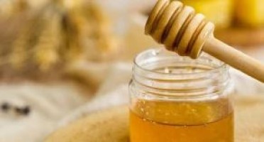 Premium Bulk Honey from Spain, Available in 500g or 1kg