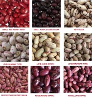 Premium Kidney Beans - Wholesale Agro Supplier
