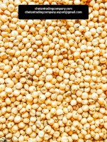 Versatile Sorghum Grains - Wholesale Supplier from India