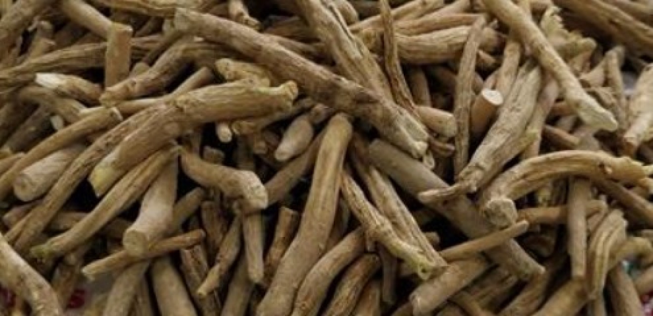 Ashwagandha Roots Wholesale Rate - Bulk Price and Supplier