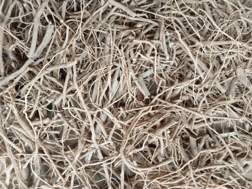 Ashwagandha Roots Wholesale Rate - Bulk Price and Supplier