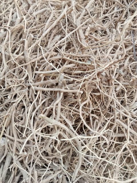 Ashwagandha Roots Wholesale Rate - Bulk Price and Supplier