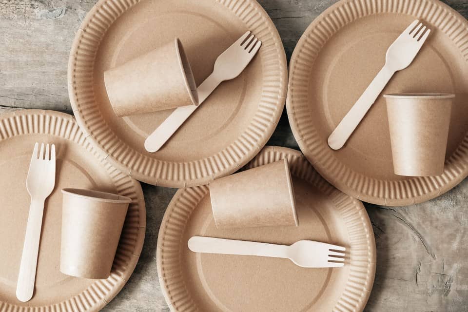 Disposable Tableware at Wholesale Rates, Eco Friendly Options Available