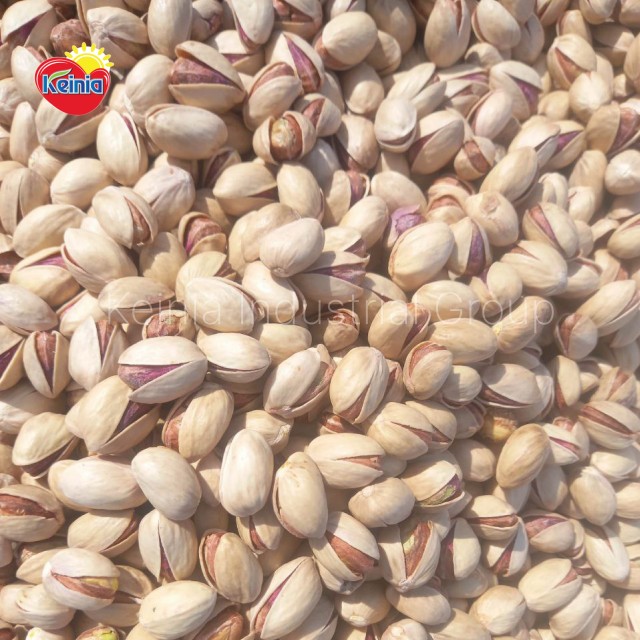 Iranian Pistachio in Shell (Fandoghi) Premium Quality Bulk Wholesale Price