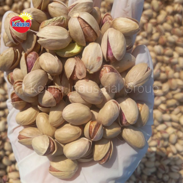 Iranian Pistachio in Shell (Fandoghi) Premium Quality Bulk Wholesale Price