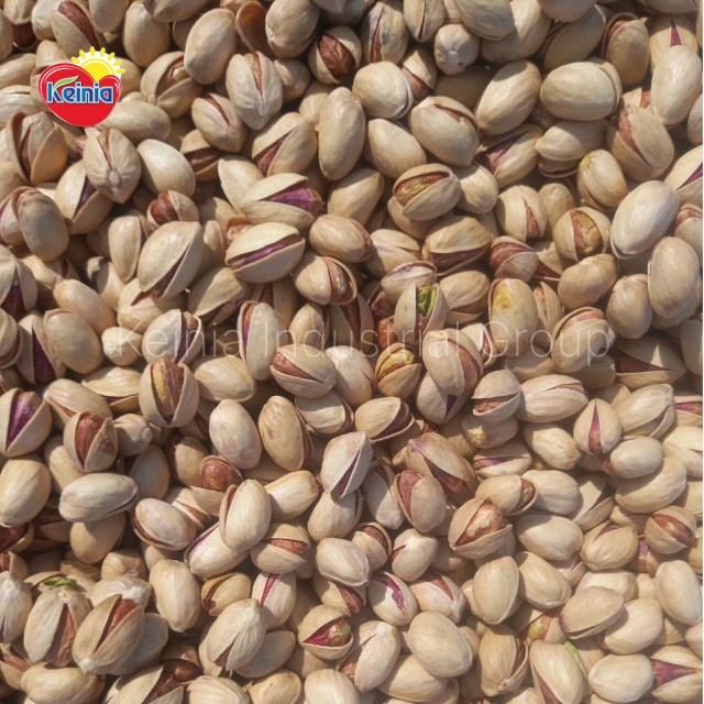 Iranian Pistachio in Shell (Fandoghi) Premium Quality Bulk Wholesale Price