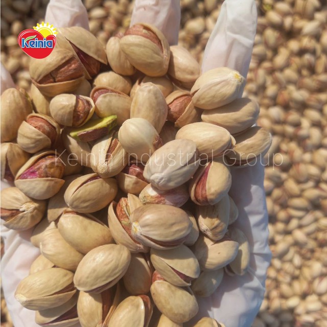 Iranian Pistachio in Shell (Fandoghi) Premium Quality Bulk Wholesale Price