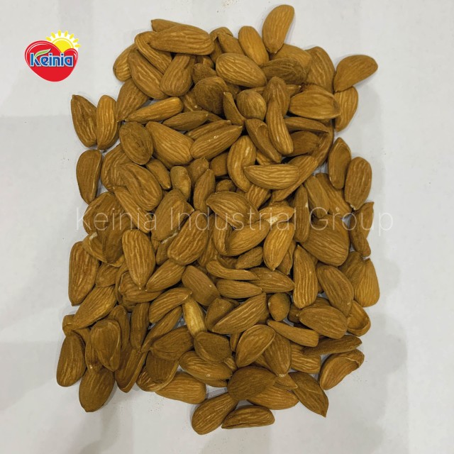 Mamra Almond Badam Premium Quality Wholesale Rate