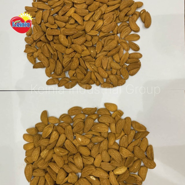 Mamra Almond Badam Premium Quality Wholesale Rate