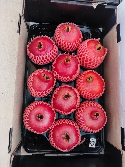 Pomegranate Wholesale Supplier - Bulk & B2B Rates