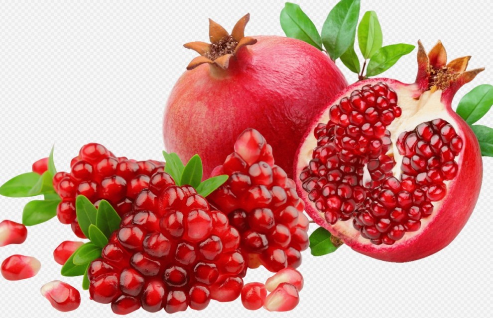 Pomegranate Wholesale Supplier - Bulk & B2B Rates