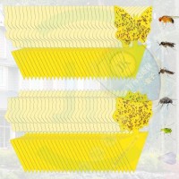 30-Pack Yellow Sticky Traps - Wholesale Rate, Effective Pest Control