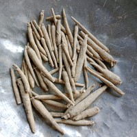 Ashwagandha Roots Wholesale Rate - Bulk Price and Supplier