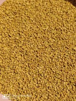 Fenugreek Seeds - Methi: Premium Quality Seeds For Culinary And Health Benefits