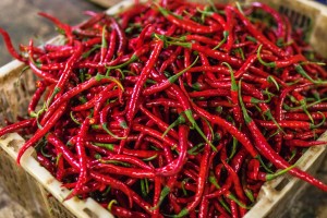 Red Chilli - Premium Quality, Wholesale Rate, Supplier