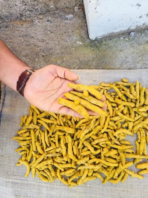 Turmeric Finger - Organic Golden Yellow, Wholesale Rate