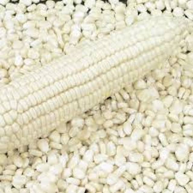 White and Yellow Corn - Wholesale Supplier, High Quality, Best Rates