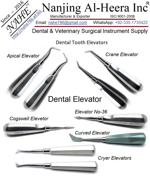 Dental Root Elevator with High-quality Stainless Steel at Bulk Pricing