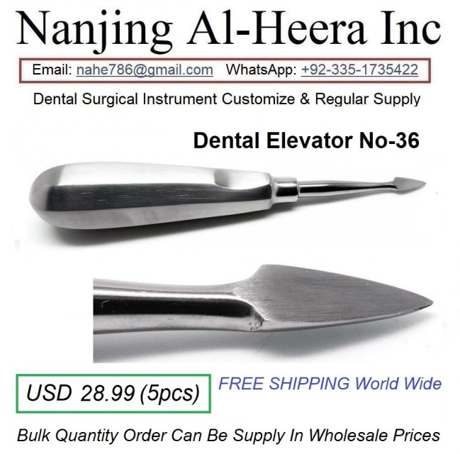 Dental Root Elevator with High-quality Stainless Steel at Bulk Pricing