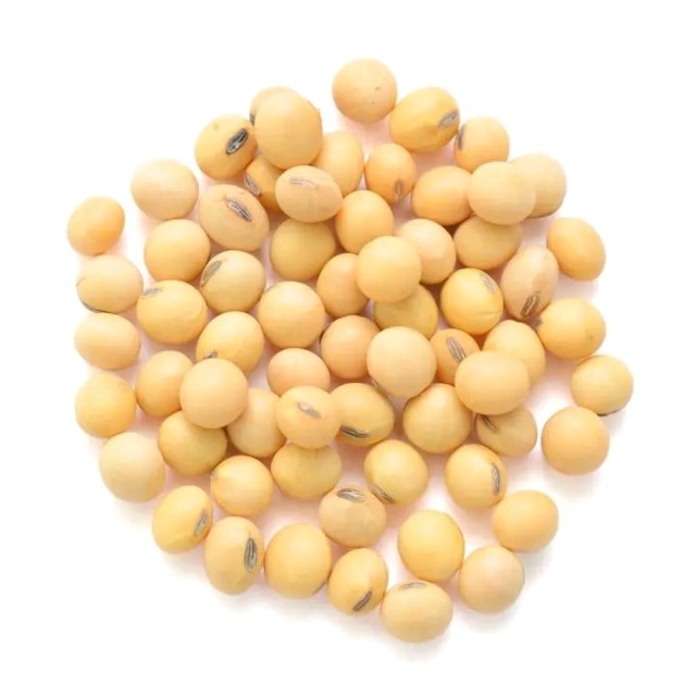 GMO and Non GMO Soyabean/Soybean Wholesale Price