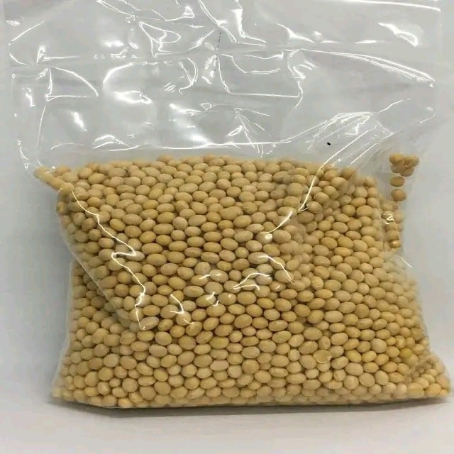 GMO and Non GMO Soyabean/Soybean Wholesale Price