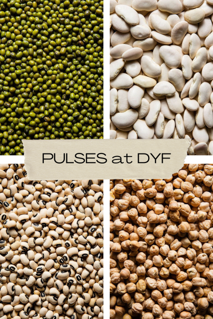 Indian Pulses and Cereals of Premium Quality at Wholesale