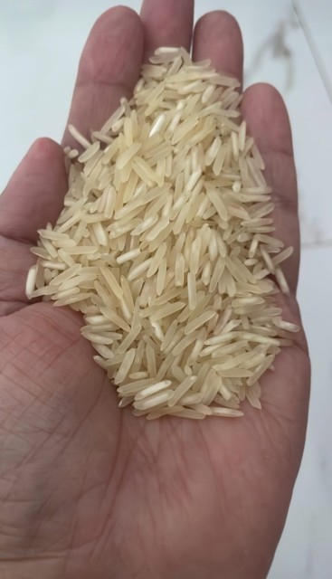 Indian Sella Basmati Rice for Wholesale at 1121 Variety