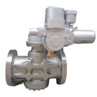 Pressure Balanced Plug Control Valve - Best Price For Trade And Wholesale Deals