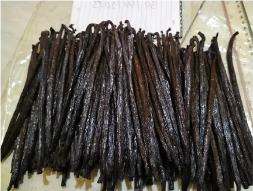 Tahitian Vanilla Beans for Sale for Wholesale Supply at Best Rate & Quality