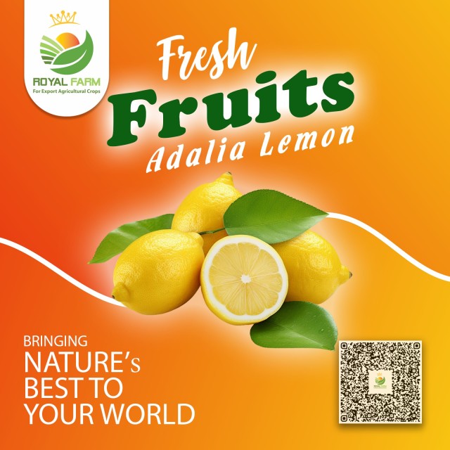 Fresh Egyptian Acidic Lemon – Wholesale Supplier, Best Price from Egypt