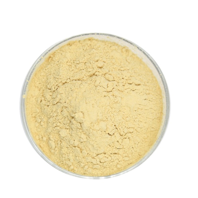 Xanthan Gum - Premium Bulk Supply for Thickening and Emulsification