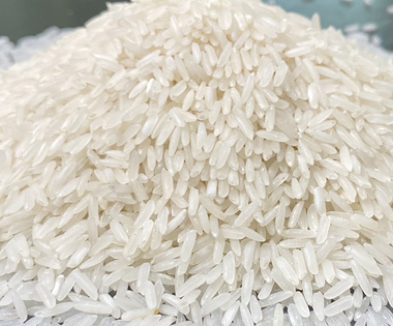 Cambodian White Rice - Bulk Supplier & Exporter for Quality Wholesale Orders